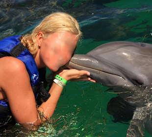 Kuss vom Delfin