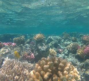 Schnorcheln Hurghada