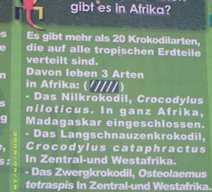 Infos über Krokodile