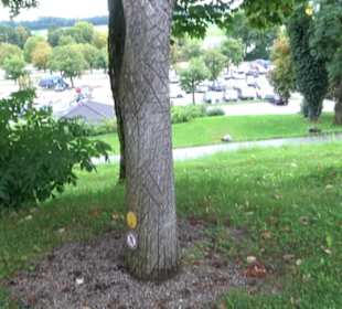 Skulpturengarten