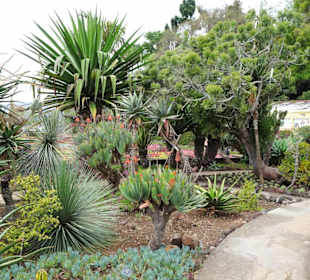 Rundgang durch den Botanischen Garten von Funchal