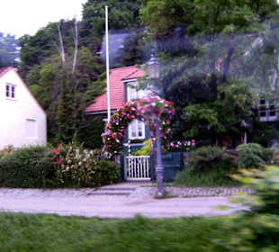 Ein schöner Blumenbogen über einer Eingangstüre