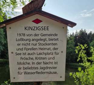 Kinzigsee