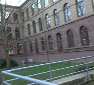 Stadtgarten Stuttgart