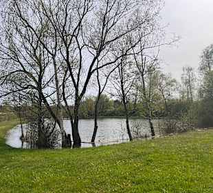 Wandern Dillingen/Saar