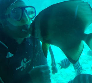 Fisch gibt Küsschen