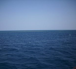 Mitten auf dem Meer bei der Delfintour