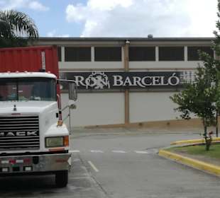 Ron Barcelo