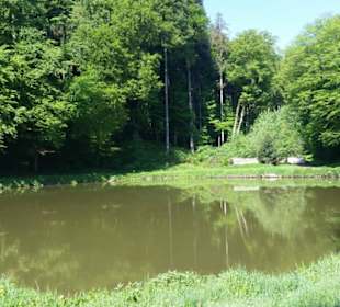 Fischteich