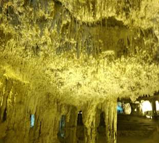 Many tiny stalactites