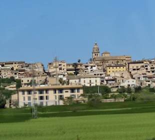 Zentrum de Playa de Muro