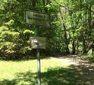 Oberer Gönninger See