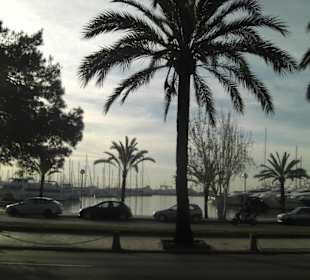 Hafenpromenade Palma