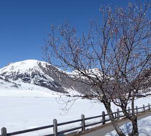 Wandern Livigno