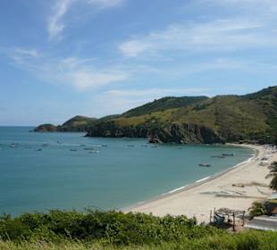 Monzanillo