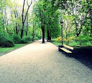 Ogród saski, Warszawa