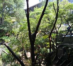 Taronga Zoo