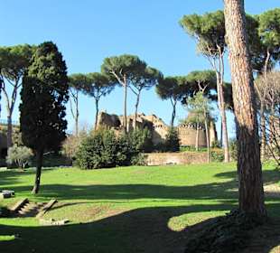 Palatino: grüne Oase