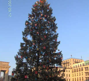 Der Weihnachtsbaum am 3. Adventsonntag