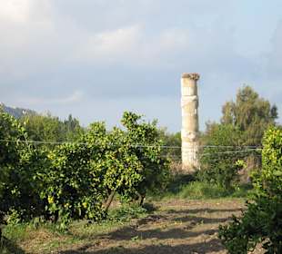 Tempel der Artemis in Ephesos