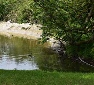 Schloss Westerwinkel 