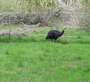 Weltvogelpark Walsrode