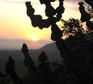 Sonnenaufgang im Amboseli