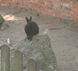 Zoo Grömitz 
