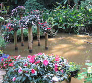 Gartenanlage
