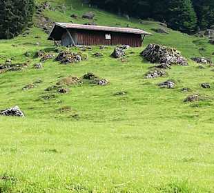 Wandern Balderschwang