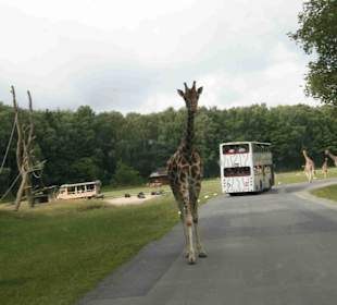 Serengeti Park Hodenhagen
