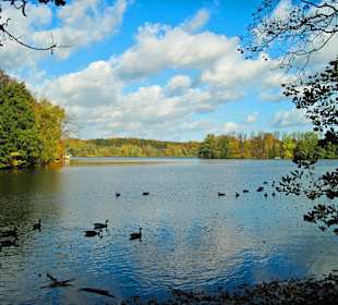 Парк Замка Ойтин.Золотая осень.