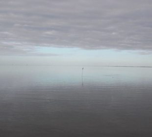 Ausflugsfahrt mit der WEGA 2