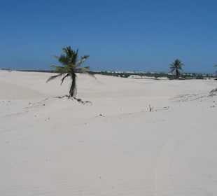 Dünen Dünen Dünen