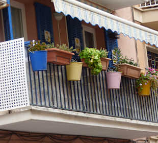 Stadtrundfahrt Cala Millor
