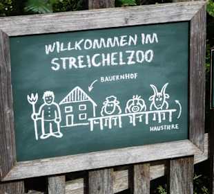 Der Streichelzoo-Bereich