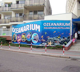 Oceanarium
