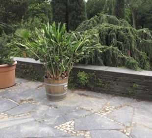 Mittelmeerterrassen - Alter Botaischer Garten