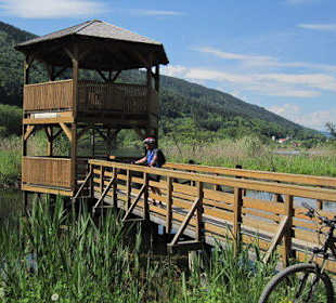 Beobachtungen im Landschaftsschutzgebiet