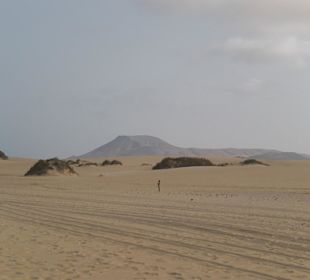 Sanddünen von Corralejo mit Blick auf Insel Lobos