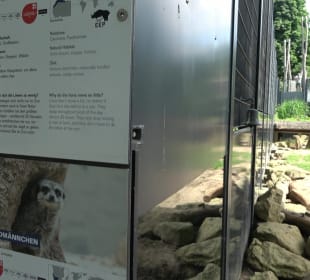 Zoo Heidelberg