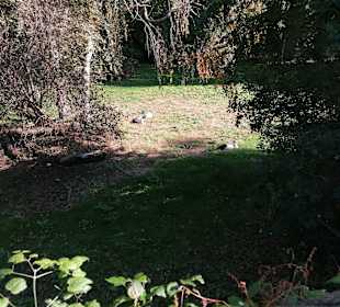 Zoologischer Garten Prag