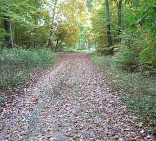 Wanderung Felsen Sankt Johann