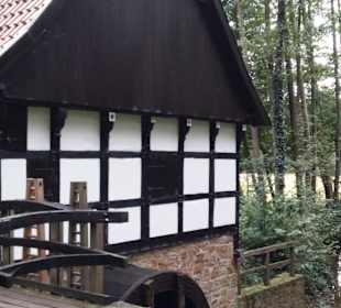 Kurpark Bad Oeynhausen und die Umgebung