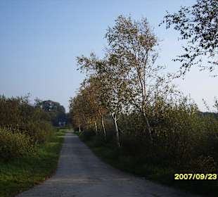 Der Weg nach Süderholm aus dem Moor !