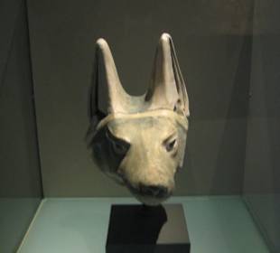 Ägy. / Hüllenkopf Schakalmumie: 664-30 v. Chr.