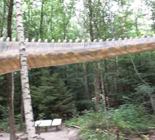 Dinosaurier Museum Altmühltal