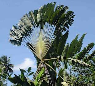 Jamaicanincentives Company Ltd.