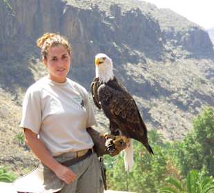 Ein Muss im Palmitos Park - Die Show