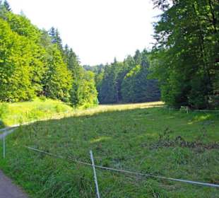Der Therapeutische Wanderweg
